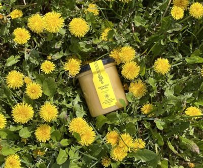 Słoik miodu wielokwiatowego leżący na trawie i mniszku lekarskim.